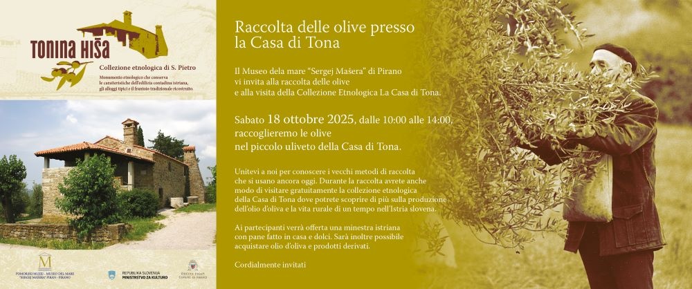 Invito alla raccolta delle olive presso la Casa di Tona