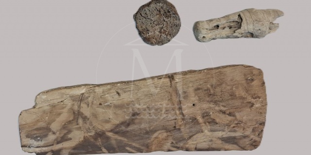Conservazione del legno archeologico rinvenuto nel sito di Fisine